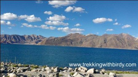 Pangong Lake Leh